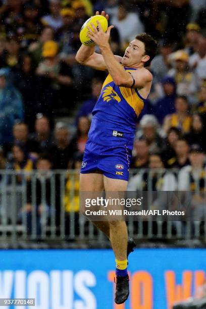 Jeremy McGovern of the Eagles takes an overhead mark during the round one AFL match between the West Coast Eagles and the Sydney Swans at Optus...