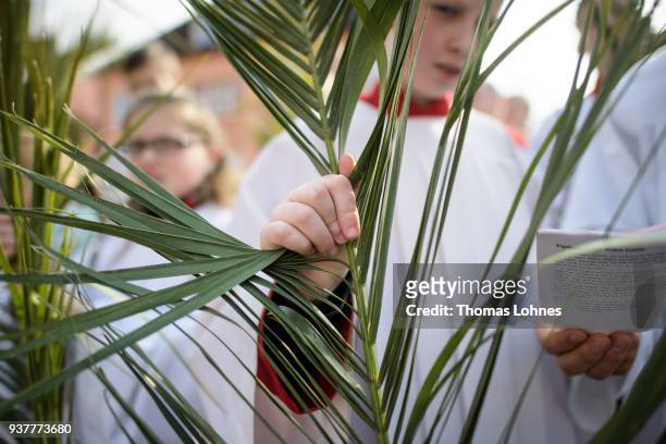 Altar server sing with palm leaves during the annual Palm Sunday procession on March 25, 2018 in Heiligenstadt, Germany. The annual event, known as...