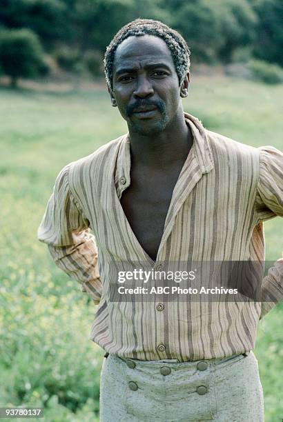 Sunday, Jan. 23-Sunday. Jan. 30 The 12-hour Walt Disney Television via Getty Images Novel for Television "Roots", which aired for eight consecutive...