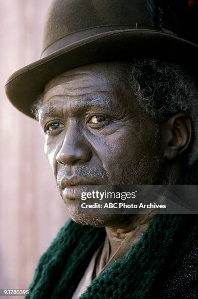 Sunday, Jan. 23-Sunday. Jan. 30 The 12-hour Walt Disney Television via Getty Images Novel for Television "Roots", which aired for eight consecutive...