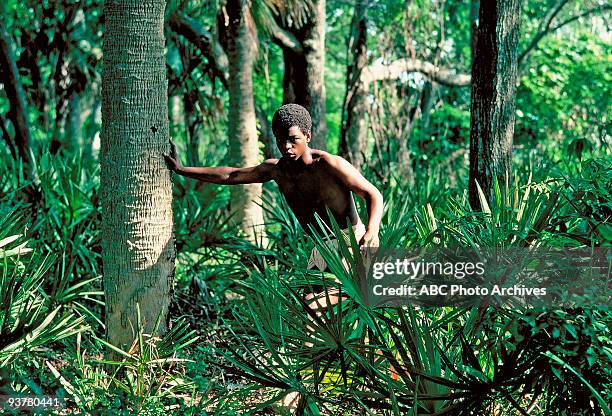 Sunday, Jan. 23-Sunday. Jan. 30 The 12-hour Walt Disney Television via Getty Images Novel for Television "Roots", which aired for eight consecutive...