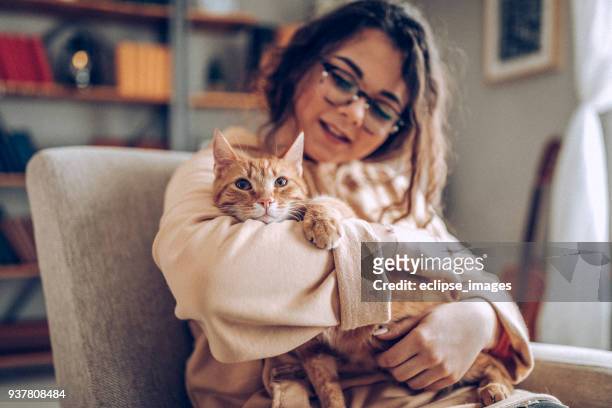 junge frau holding katze - tabby cat stock-fotos und bilder