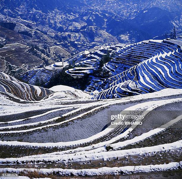 da zhai terraced field - longji tetian bildbanksfoton och bilder