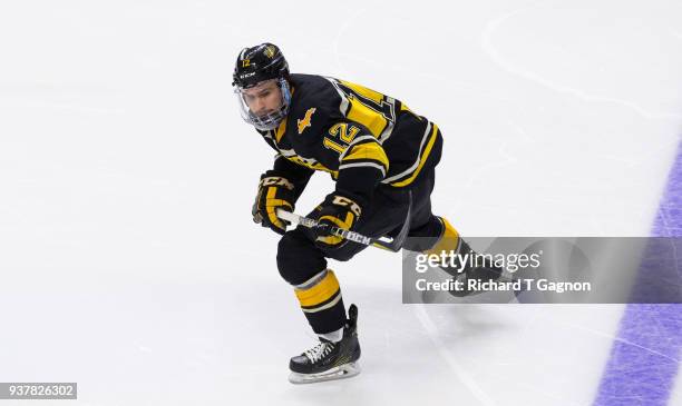 Mark Auk of the Michigan Tech Huskies skates against the Notre Dame Fighting Irish during the NCAA Division I Men's Ice Hockey East Regional...