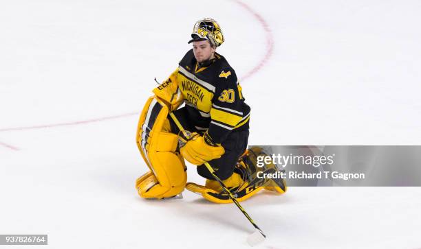 Patrick Munson of the Michigan Tech Huskies tends goal against the Notre Dame Fighting Irish during the NCAA Division I Men's Ice Hockey East...