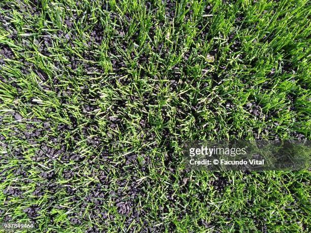 pasto sintético - artificial turf stock pictures, royalty-free photos & images