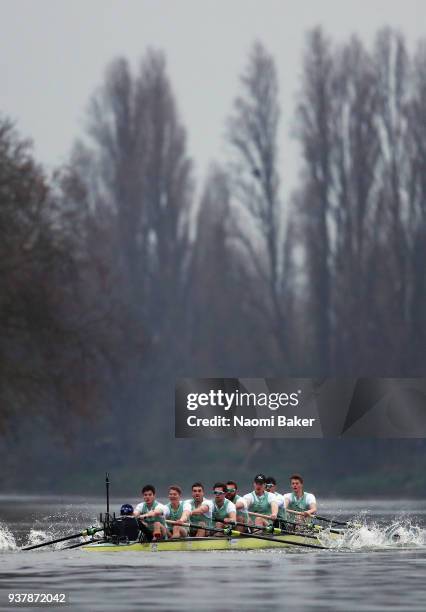 Cambridge University Men's Boat Club Blue in action during The Cancer Research UK Men?s Boat Race 2018 on March 24, 2018 in London, England.