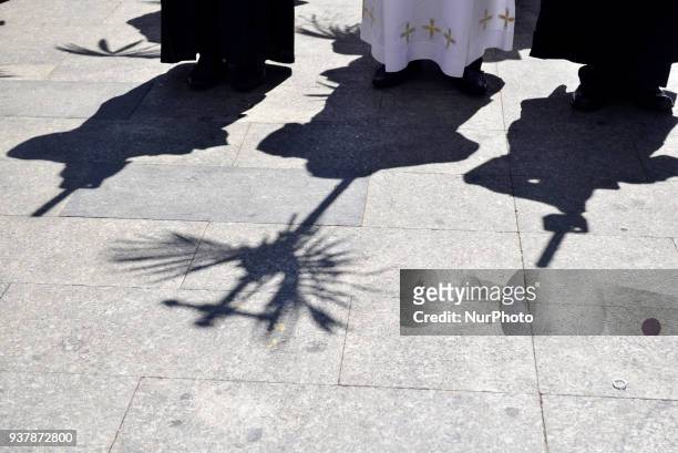 Faithfuls attend Palm Sunday Mass held by Dom Odilo Scherer at Sé Square on March 25, 2018 in São Paulo. Dom Odilo Scherer on Sunday presided at the...