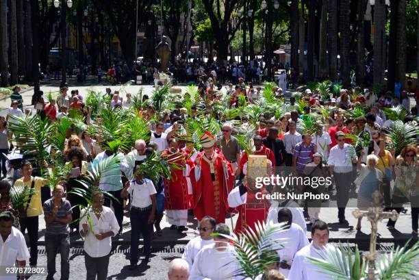 Faithfuls attend Palm Sunday Mass held by Dom Odilo Scherer at Sé Square on March 25, 2018 in São Paulo. Dom Odilo Scherer on Sunday presided at the...