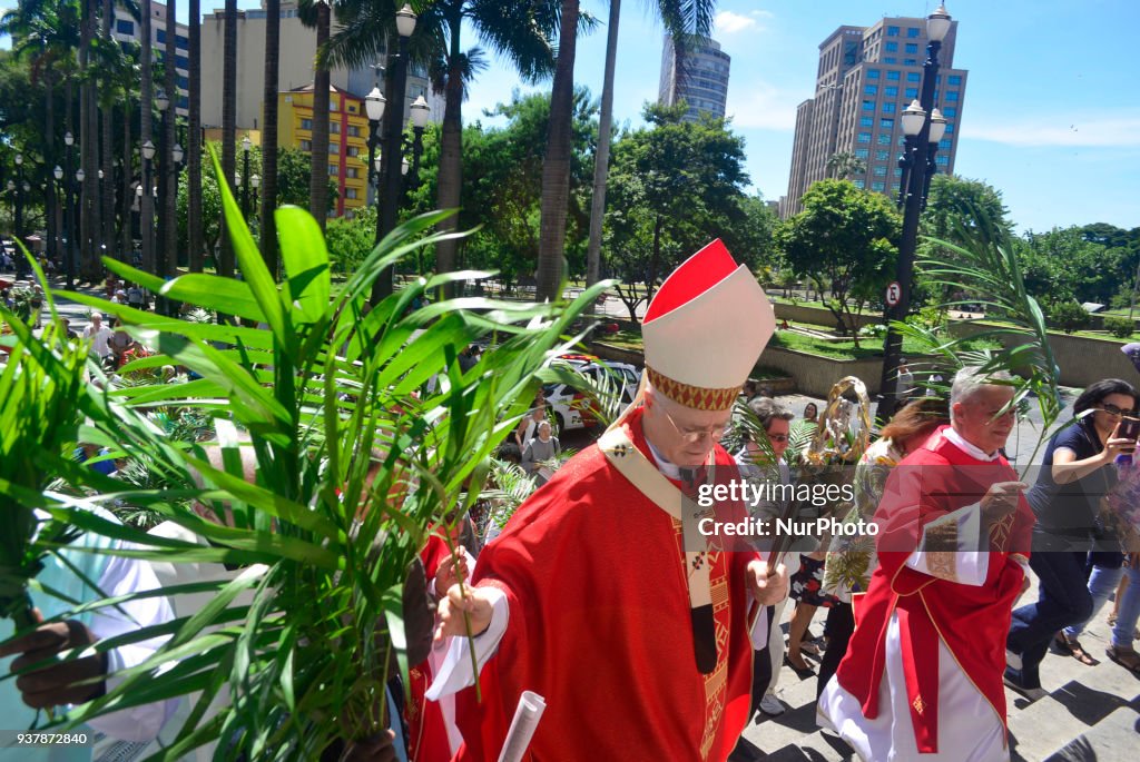 Palm Sunday Mass in Sao Paulo