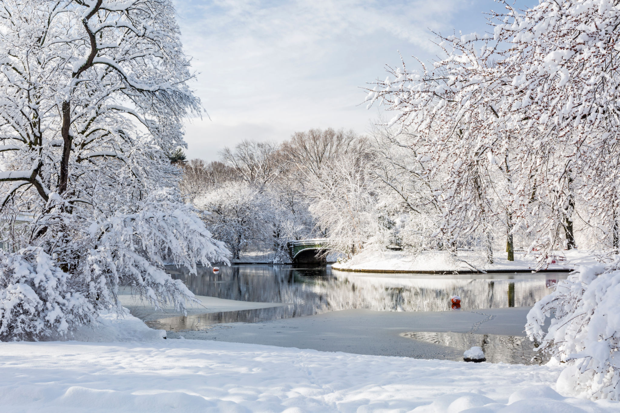 winter landscape ny
