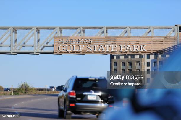 alabama's gulf state park teken op loopbrug over weg - gulf shores alabama stockfoto's en -beelden