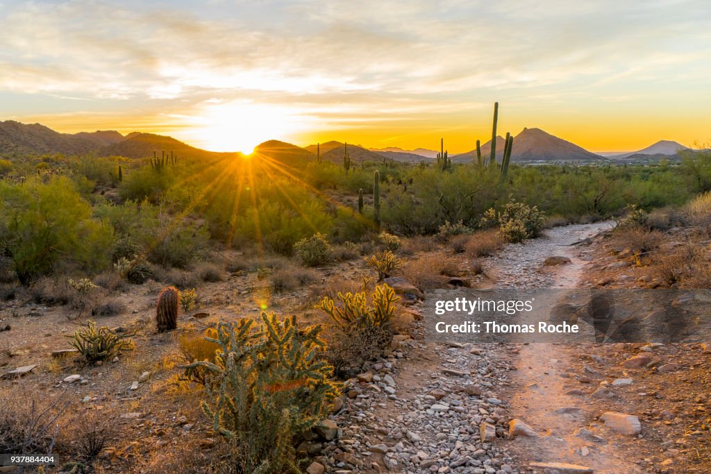 Sunrise on the desert trail