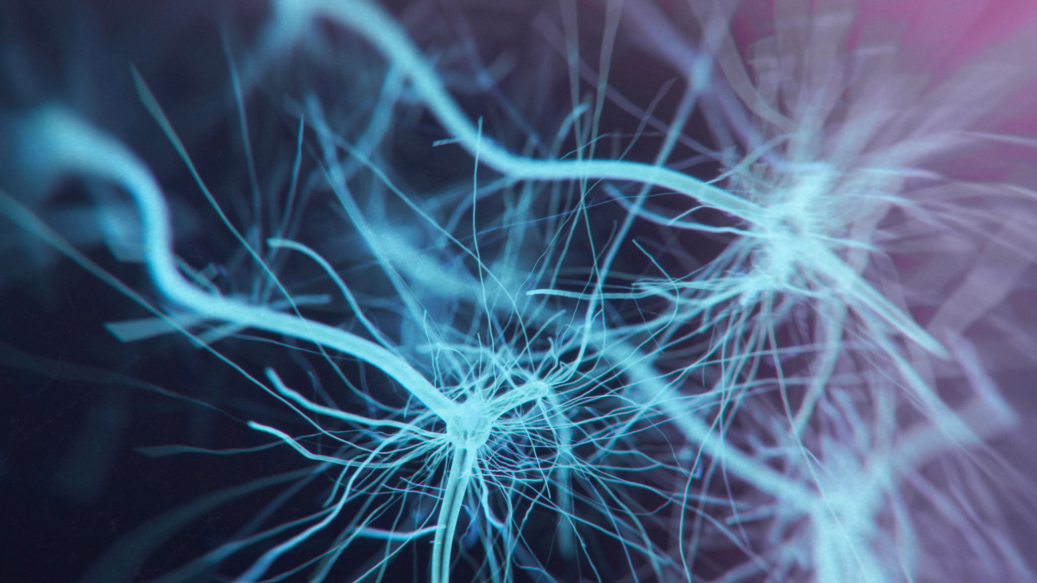 neuroscience research