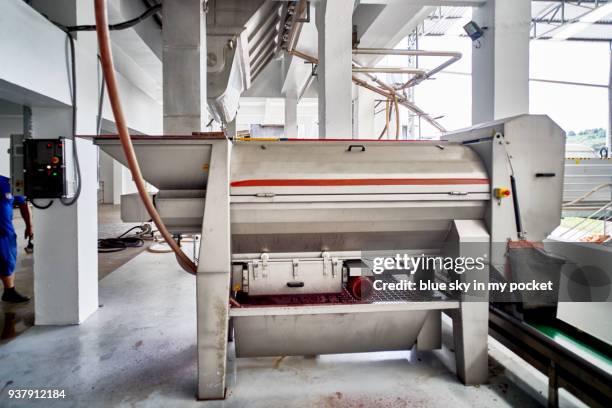 the fresh grape harvest being processed at the cooperativa vinícola são joão, southern brazil. - cooperativa stock-fotos und bilder