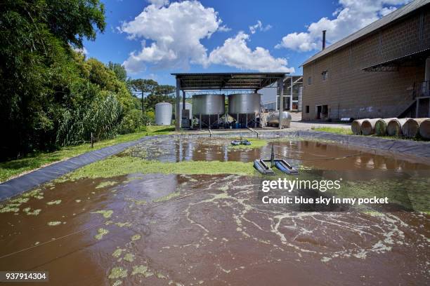 water purification filtering at the cooperativa vinícola são joão, southern brazil. - cooperativa stock pictures, royalty-free photos & images