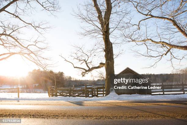 rural wintertime road - catherine ledner 個照片及圖片檔