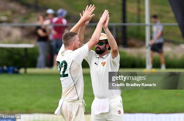 Jackson Bird of Tasmania celebrates taking the wicket of Charlie Hemphrey of Queensland during day four of the Sheffield Shield Final match between...