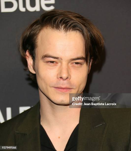 Charlie Heaton attends The Paley Center for Media's 35th Annual PaleyFest Los Angeles - 'Stranger Things' at Dolby Theatre on March 25, 2018 in...