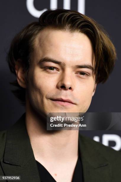 Charlie Heaton attends PaleyFest Los Angeles 2018 "Stranger Things" at Dolby Theatre on March 25, 2018 in Hollywood, California.