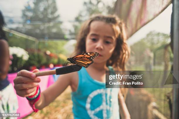 a girl holding a butterfly. - flower show imagens e fotografias de stock
