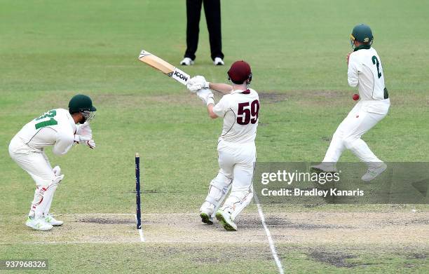 Jake Doran of Tasmania is struck by the ball off the bat of James Peirson of Queensland during day four of the Sheffield Shield Final match between...