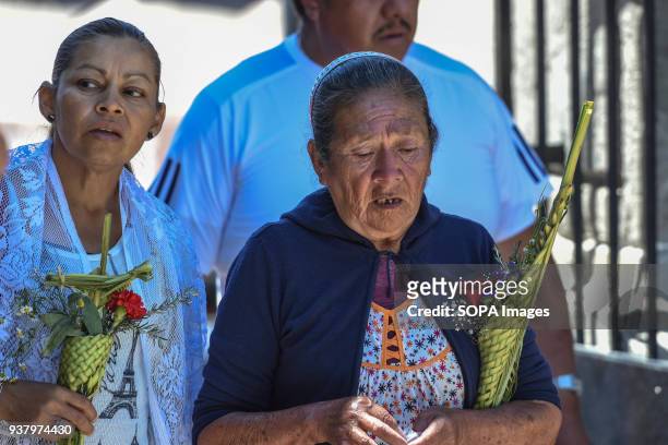 An old woman seen holding palm leaf during the celebration of the Mass on Palm Sunday at Iglesia de Los Remedios. Palm Sunday is a Christian feast...