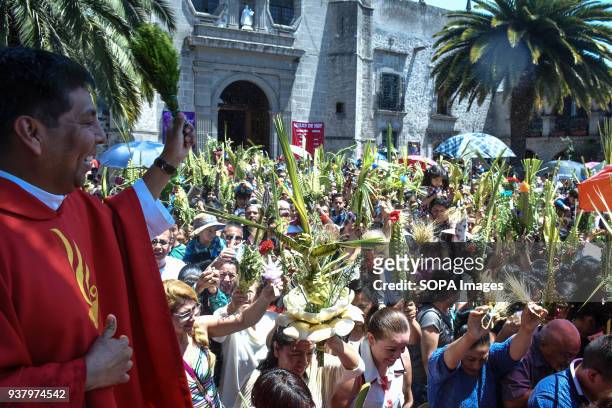 Devotees seen holding palm leaf while a priest throw holy water on them during the celebration of the Mass on Palm Sunday at Iglesia de Los Remedios....