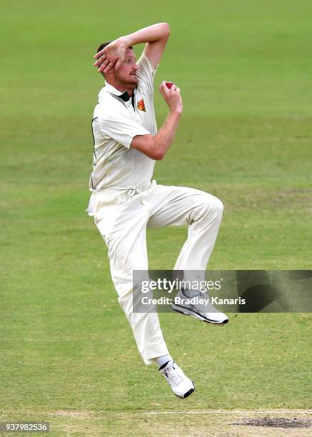 Jackson Bird of Tasmania bowls during day four of the Sheffield Shield Final match between Queensland and Tasmania at Allan Border Field on March 26,...