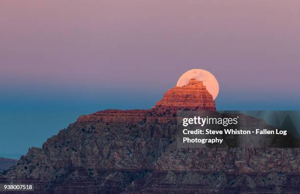 full moon rising behind vishnu temple in grand canyon - mather point stock pictures, royalty-free photos & images