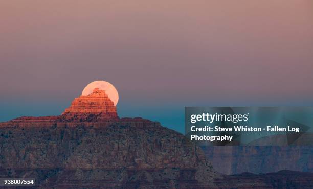 full moon rising behind vishnu temple in grand canyon - mather point stock pictures, royalty-free photos & images