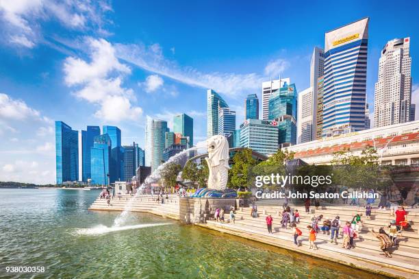 the merlion - nationalsymbol bildbanksfoton och bilder