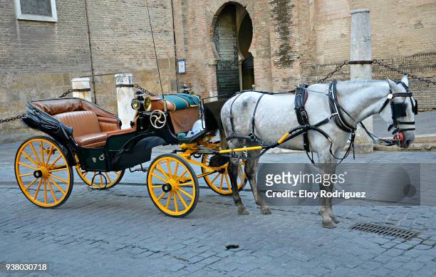 seville. horse carriage - carriage stock pictures, royalty-free photos & images