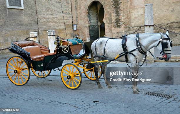 seville. horse carriage - vagn bildbanksfoton och bilder