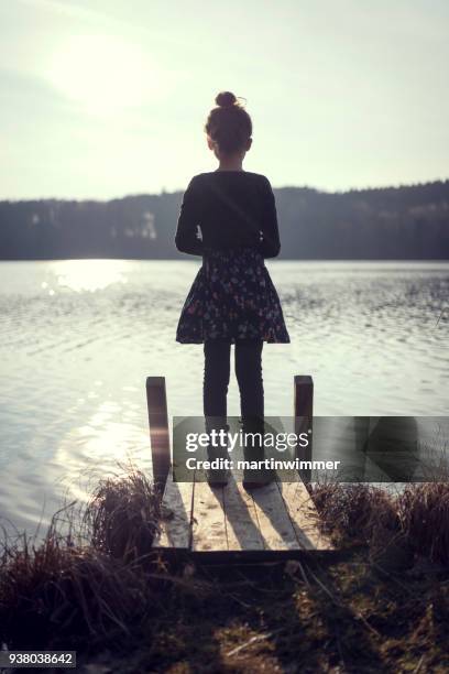 jong meisje staan op een houten pier op een meer in oostenrijk - martinwimmer stockfoto's en -beelden