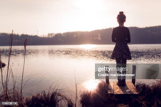 jong meisje staan op een houten pier op een meer in oostenrijk - martinwimmer stockfoto's en -beelden