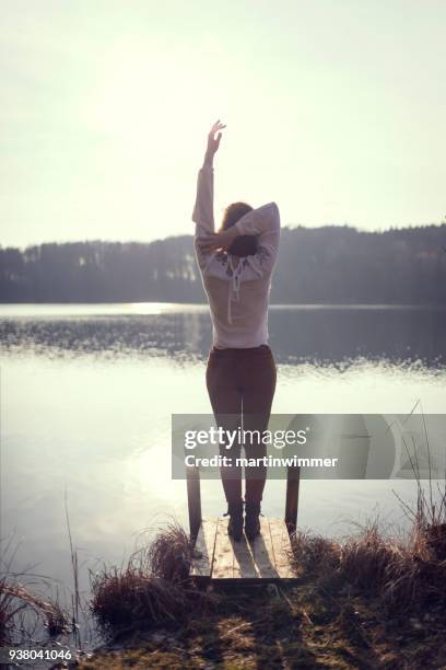 jonge vrouwen op een houten pier op een meer in oostenrijk - martinwimmer stockfoto's en -beelden