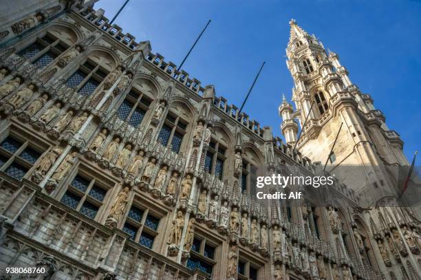town hall (hôtel de ville) in the grand place of brussels, brussels, belgium - pilaster stock pictures, royalty-free photos & images