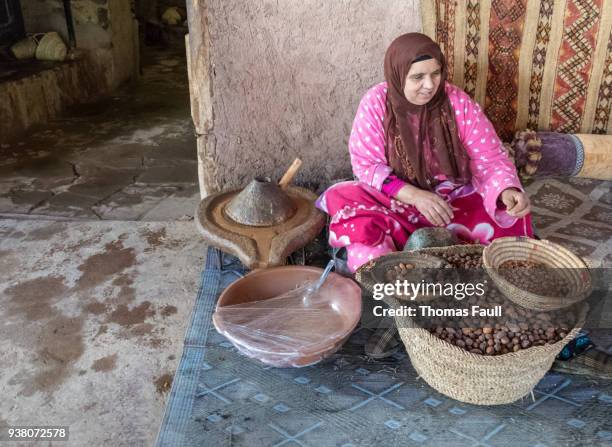 berber women making argon oil in co-operative in morocco - amazigh berber stock pictures, royalty-free photos & images