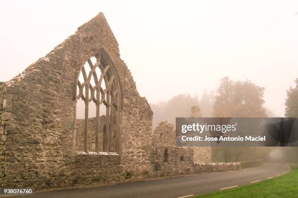 ruins of abbey in portumna - e1 stock pictures, royalty-free photos & images