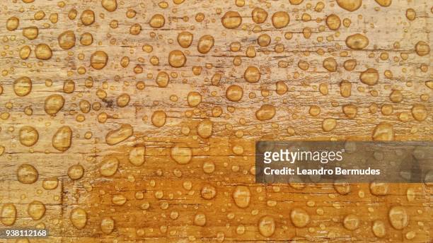 wood and water and varnish - leandro bermudes stock pictures, royalty-free photos & images