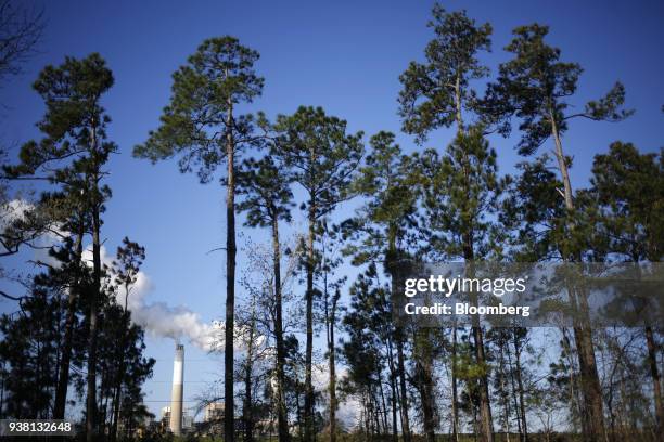 Trees stand in front of the Santee Cooper Cross Generating Station power plant in Pineville, South Carolina, U.S., on Thursday, March 22, 2018....