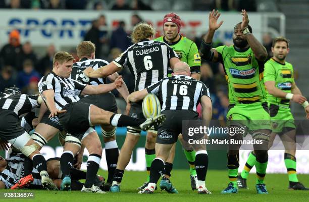 Sam Stuart Rugby 248 Sam Stuart Of England 2 Stock Photos, High-Res Pictures, and Images ...