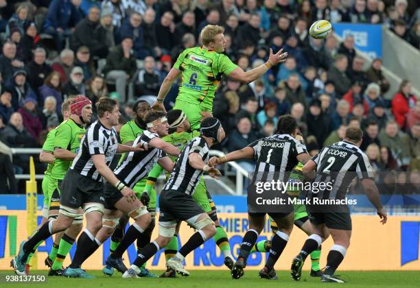 David Ribbans Rugby David Ribbans Photos and Premium High Res Pictures - Getty Images