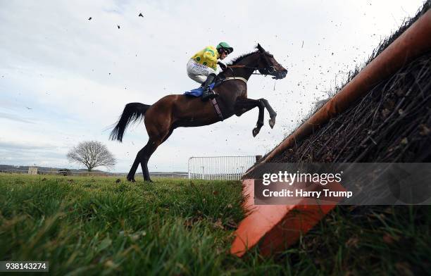 Lillington ridden by Harry Cobden take a flight during UK Gun Repairs Novices Handicap Chase at Taunton Racecourse on March 26, 2018 in Taunton,...