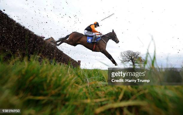 Runner takes a flight during the Firehouse Soerset Handicap Chase at Taunton Racecourse on March 26, 2018 in Taunton, England.