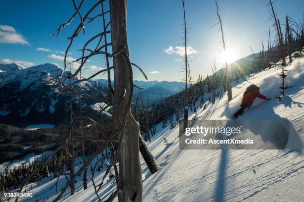 snowboarding fresh powder in the backcountry - pemberton valley stock pictures, royalty-free photos & images