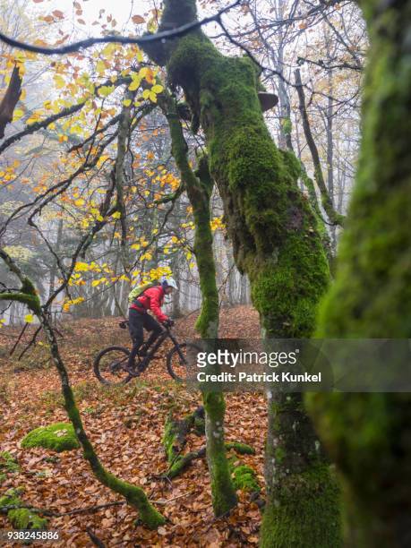 man riding electric mountain bike on single trail, vosges, france - mann herbst stockfoto's en -beelden