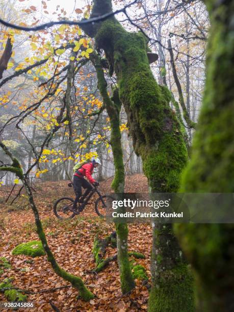 man riding electric mountain bike on single trail, vosges, france - bewegung stock pictures, royalty-free photos & images