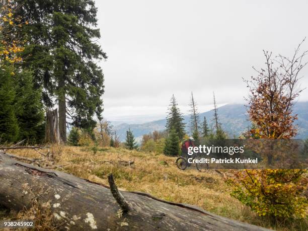 man riding electric mountain bike on single trail, vosges, france - radfahren stockfoto's en -beelden